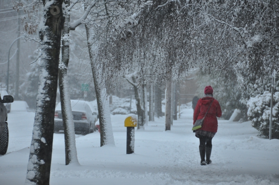 Good Morning Snow Quotes. QuotesGram