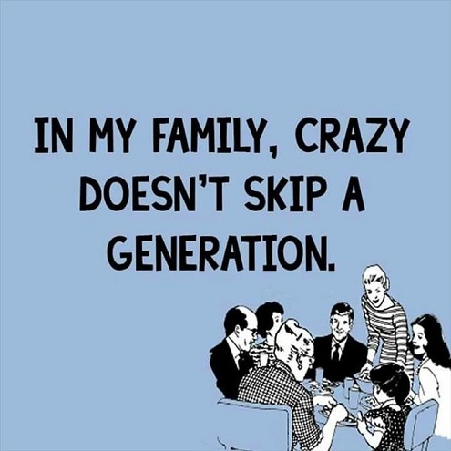 Silly Family  Quotes  And Sayings  QuotesGram
