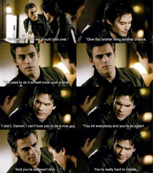 Funny Vampire Diaries Quotes Stefan. QuotesGram