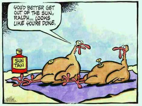Funny Thanksgiving Quotes And Cartoons. QuotesGram