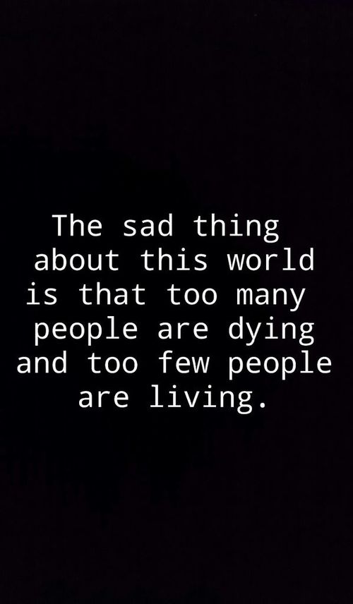 Funny Quotes On Poverty. QuotesGram Funny Quotes On Poverty. QuotesGram