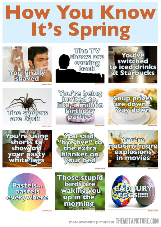 Funny Spring Quotes. QuotesGram