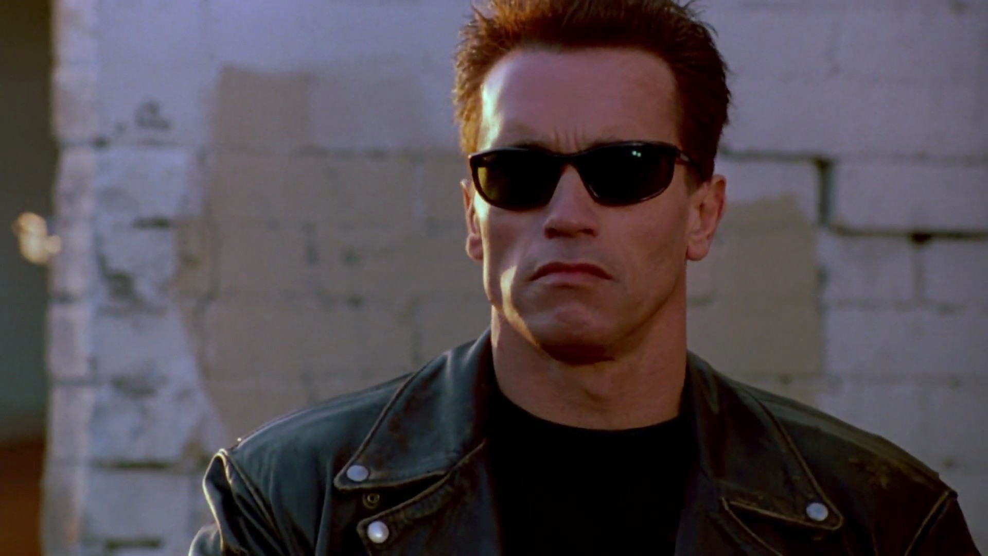 terminator quotes will not stop