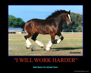 boxer farm animal quotes clover work harder quotesgram george chapter orwell failing strength never his boxers
