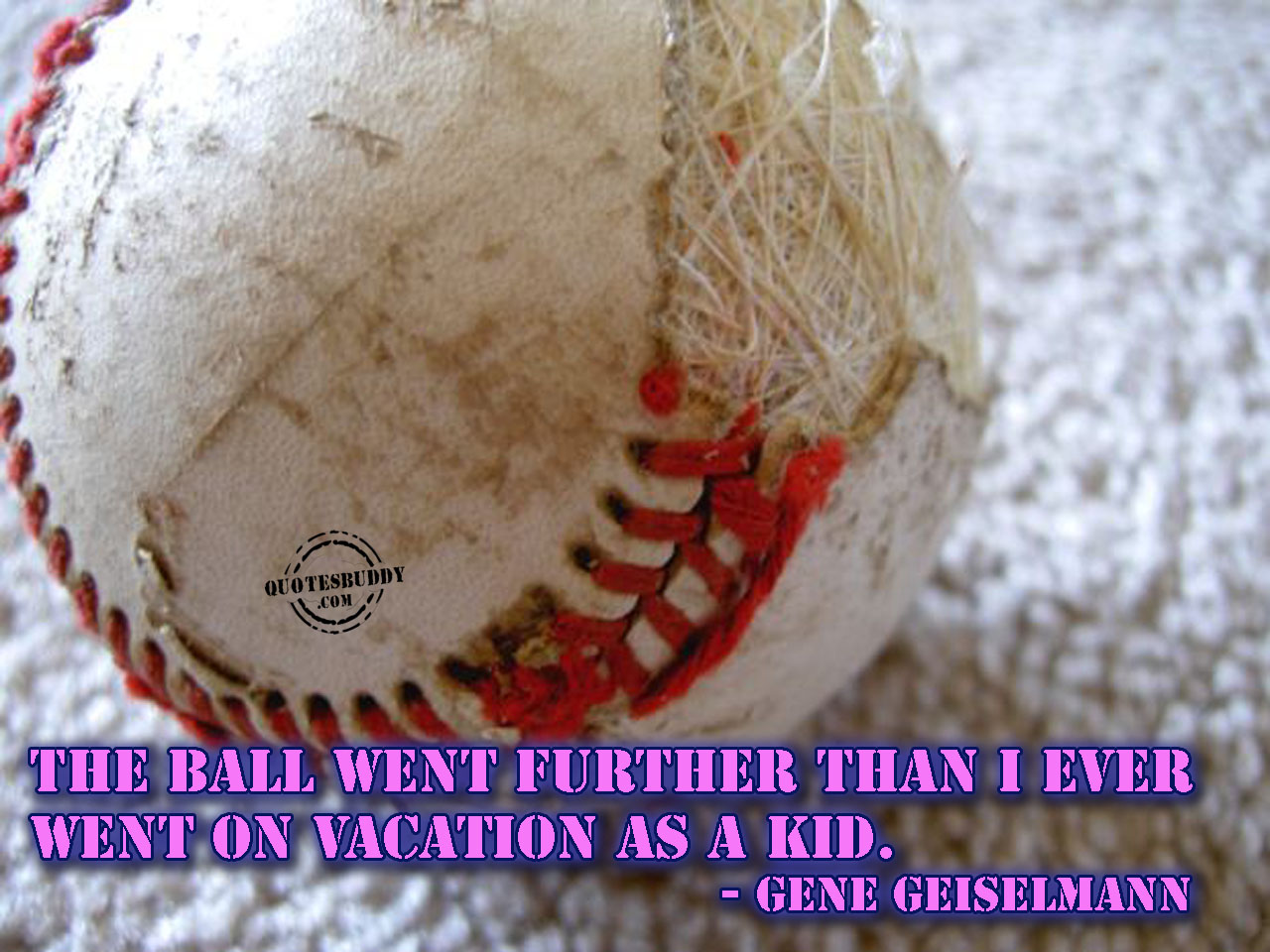 Funniest Baseball Quotes. QuotesGram