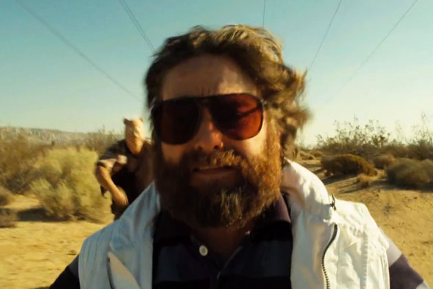Alan Hangover Quotes Wolf Pack. QuotesGram
