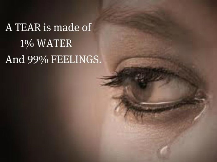 Holiday Depression Quotes Image 4