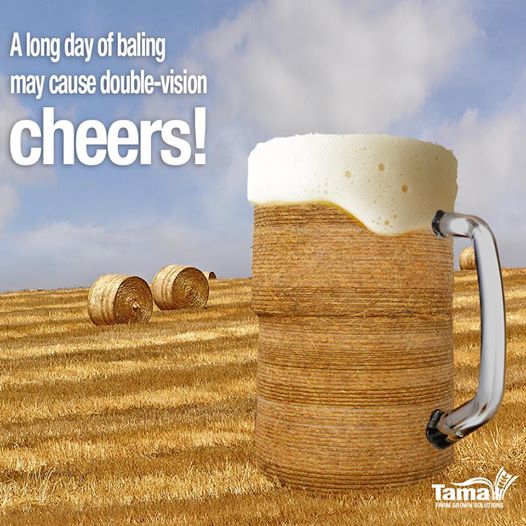 Beer Cheers Quotes. QuotesGram Beer Cheers Quotes. QuotesGram