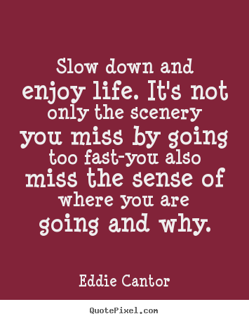 Slow Down And Enjoy Life Quotes. QuotesGram