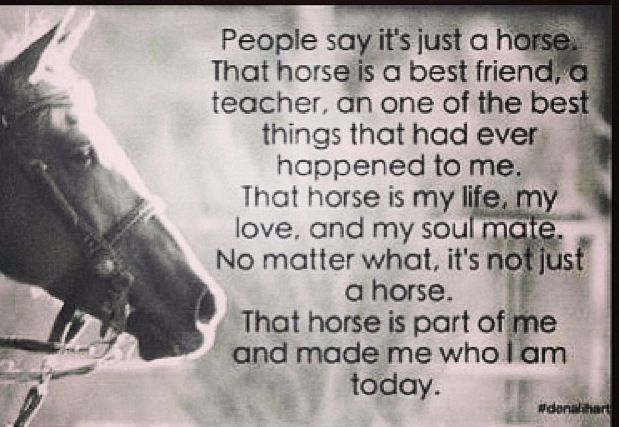 Horse People Quotes. QuotesGram
