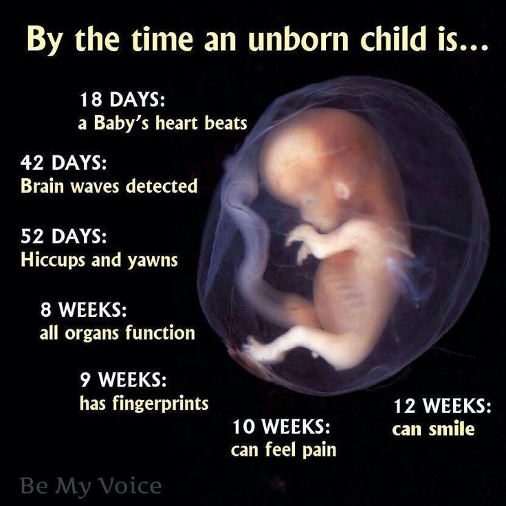 Daddy Quotes For Unborn Baby QuotesGram Daddy Quotes For Unborn Baby QuotesGram