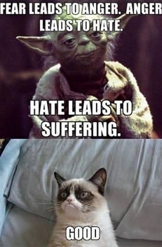 grumpy cat star wars quotes