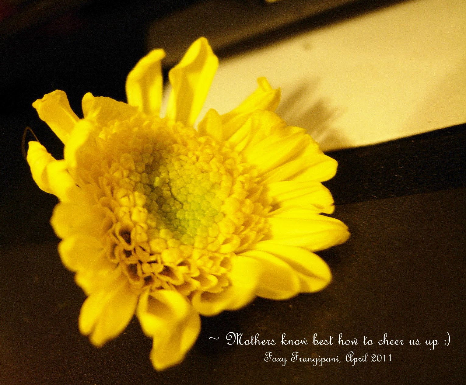 Sunflowers Cover Pictures With Quotes. QuotesGram1531 x 1266