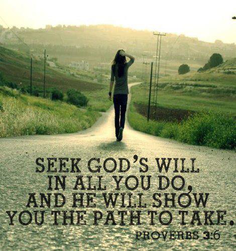 Take The Path Quotes Quotesgram