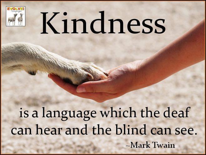 Quotes About Kindness To Animals. QuotesGram