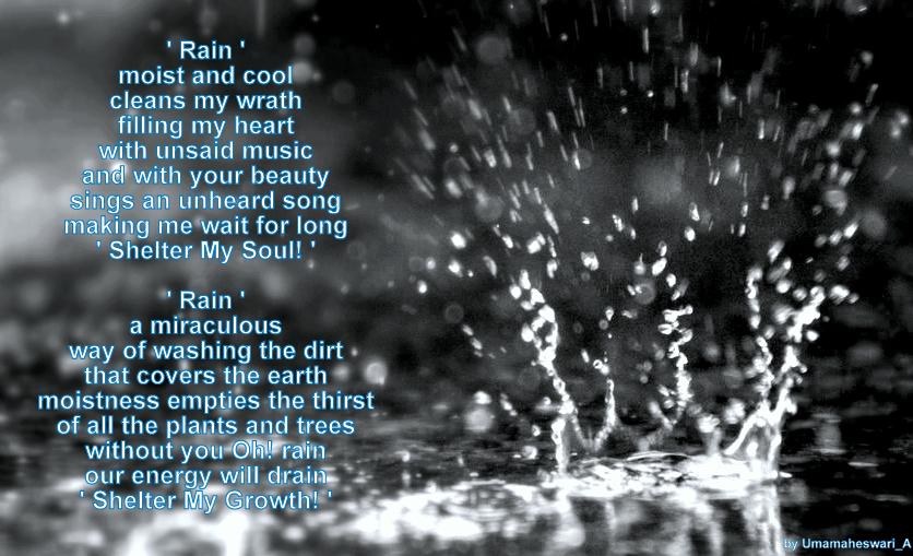 beautiful essays on rain beautiful essays on rain