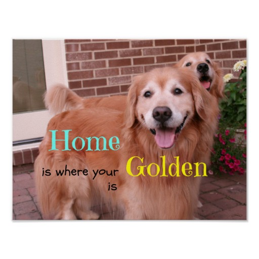 Retriever Quotes Quotesgram Retriever Quotes Quotesgram