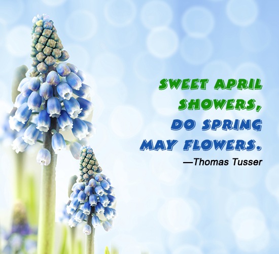 Month Of May Sayings Merry Month Of May Quotes. Quotesgram