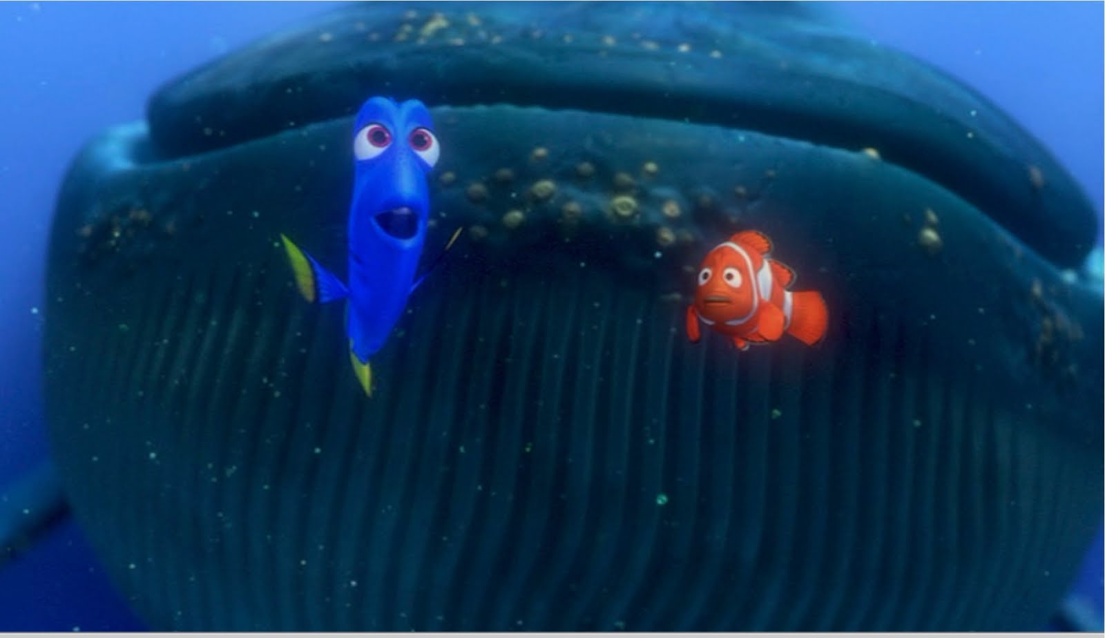 finding nemo whale toy