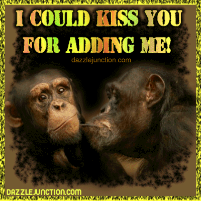 photo Monkey Kiss Camera monkeys kissing quotes quotesgram
