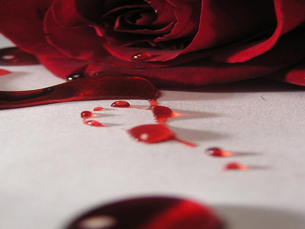 RED PAINT  Black roses wallpaper Red roses wallpaper Blue roses wallpaper