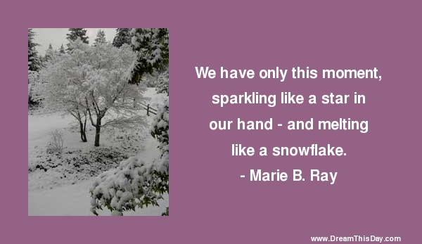 Snowflake Quotes And Sayings. QuotesGram