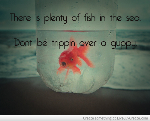 Plenty Of Fish In The Sea Quotes. QuotesGram