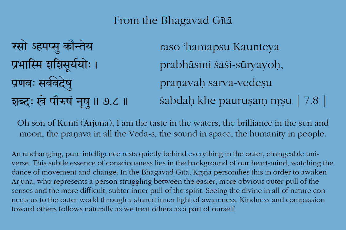 Bhagavad Gita Quotes In Sanskrit With English Translation