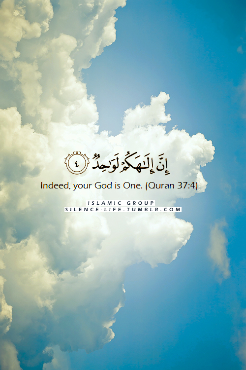 Quran from islamic quotes 51 Islamic
