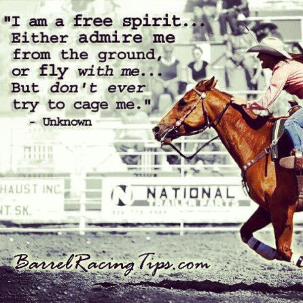 Good Barrel Racing Quotes. QuotesGram