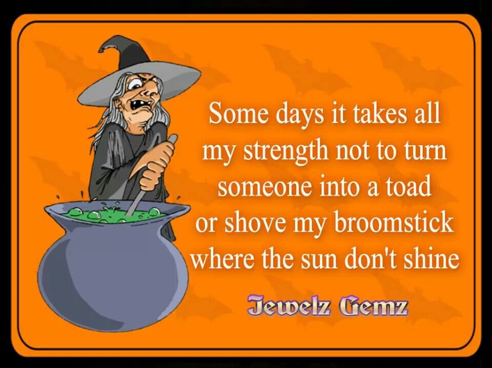 Best Funny Witch Quotes  Check it out now 