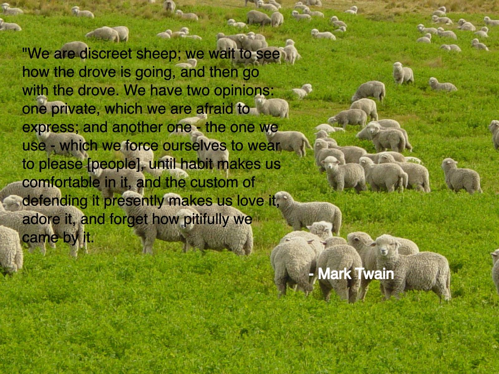 Sheep Quotes. QuotesGram