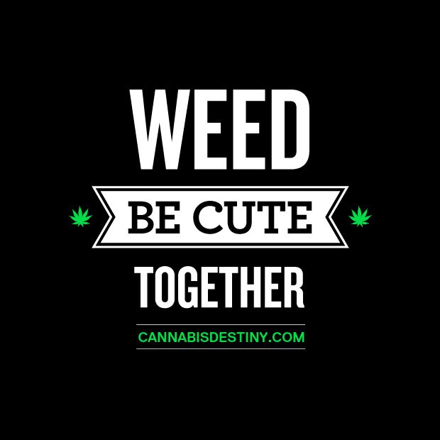 Quotes About Love And Weed. QuotesGram