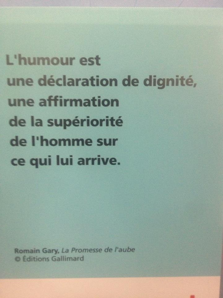 Romain Gary Quotes Quotesgram