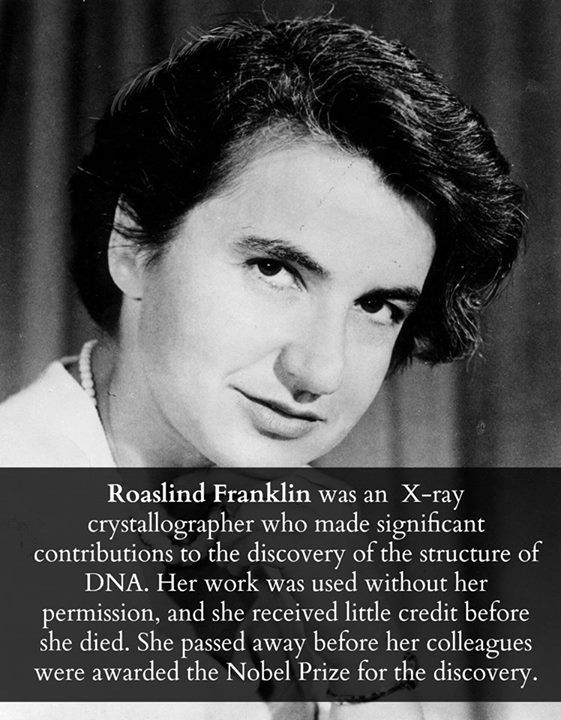 Rosalind Franklin Quote 9