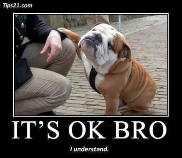Funny Work Quotes With Dogs. QuotesGram