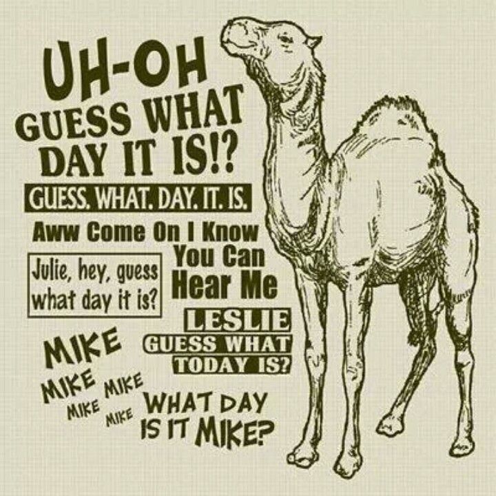Hump Day Quotes And Jokes.