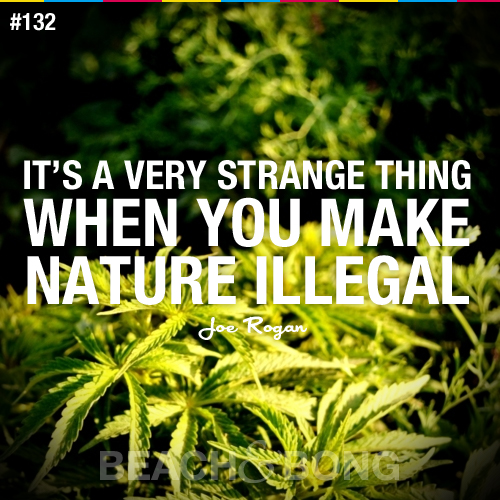 Famous Quotes Against Marijuana. QuotesGram