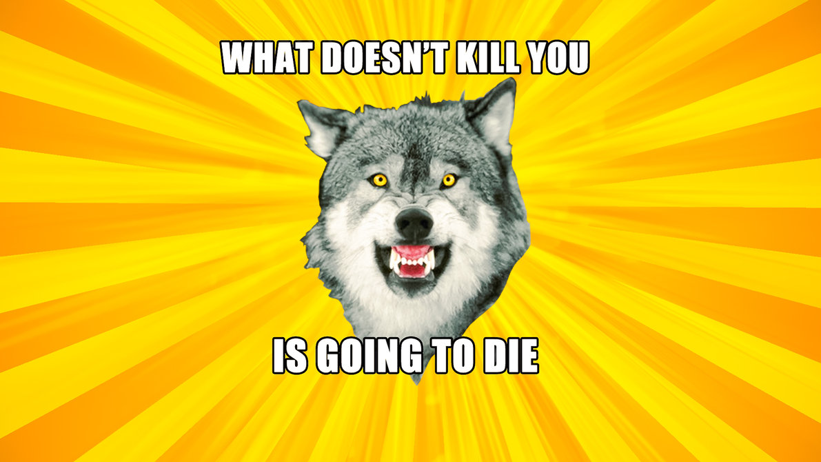 Courage Wolf Quotes. QuotesGram