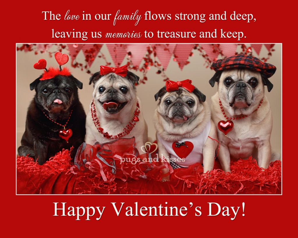 Pug Valentines Day Quotes. QuotesGram1024 x 819