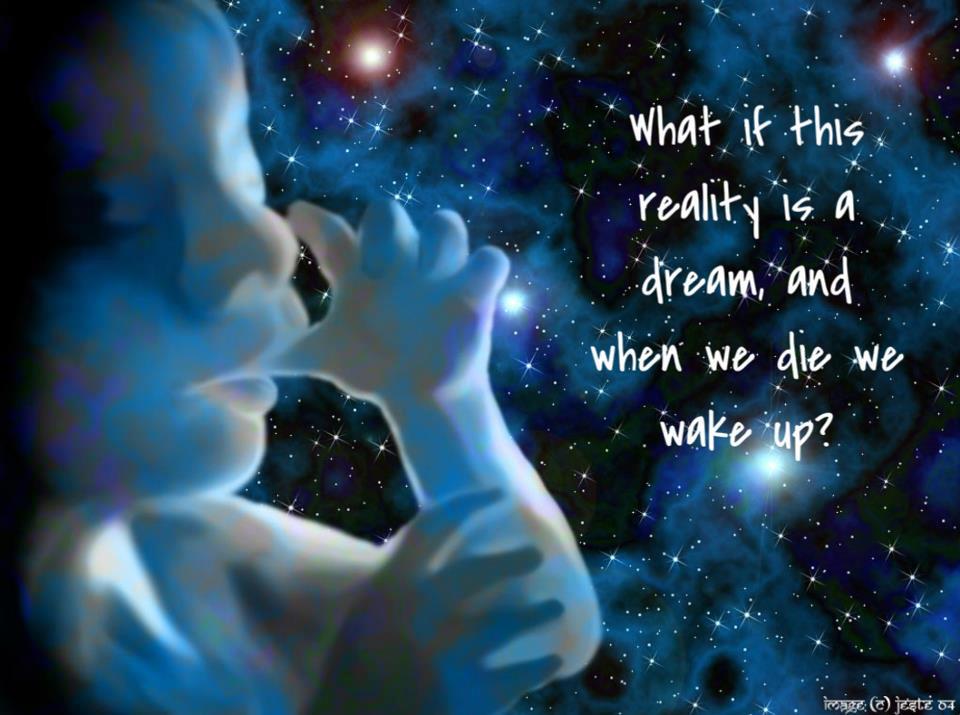Life Is But A Dream Quotes Quotesgram Waking life is an exploration of psychology and existence through a series of conversations that take place as a man experiences a dream he's unable to wake from. life is but a dream quotes quotesgram