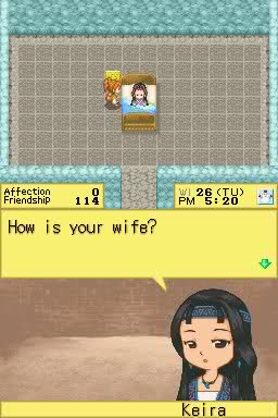 harvest moon ds cute mine