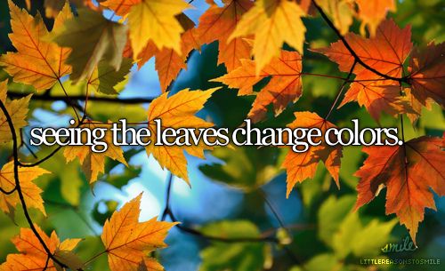 Leaves Changing Color Quotes. QuotesGram