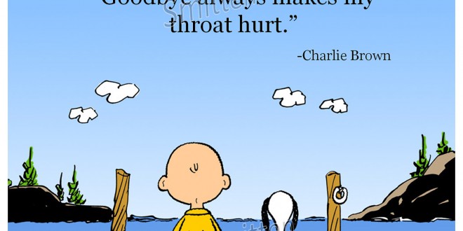 Funny Quotes Snoopy Good Night Quotesgram