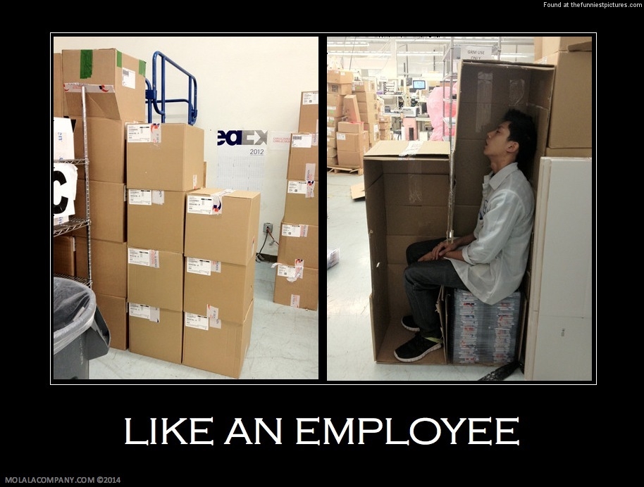 Funny Appreciation Quotes For Employees QuotesGram
