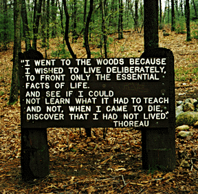 Henry Thoreau Quotes Nature. QuotesGram