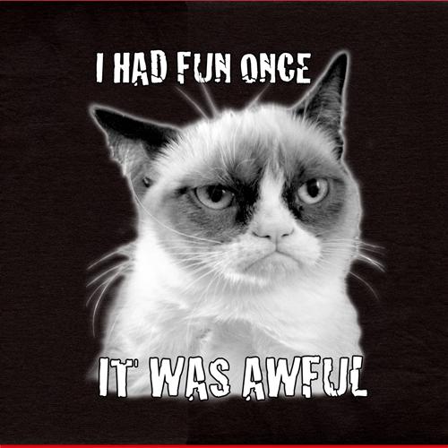 I Had Fun Once Grumpy Cat Quotes Quotesgram
