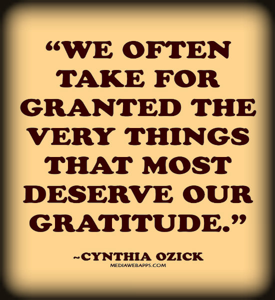 The Things We Take For Granted Quotes QuotesGram the-things-we-take-for-granted-quotes-quotesgram