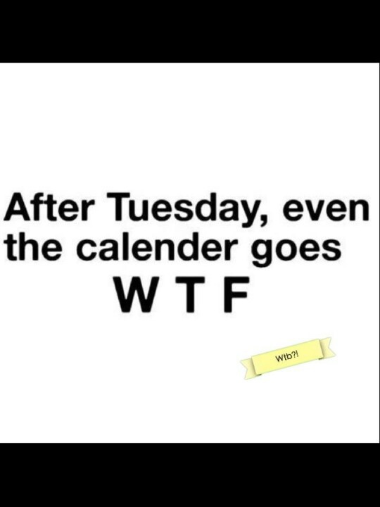 Workplace Quotes To Make You Laugh. QuotesGram