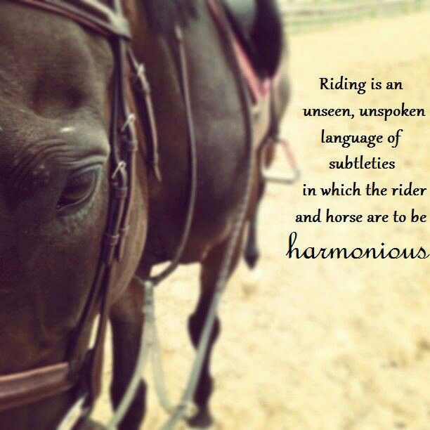 Equestrian Quotes Inspirational. QuotesGram